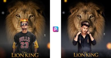 lion editing